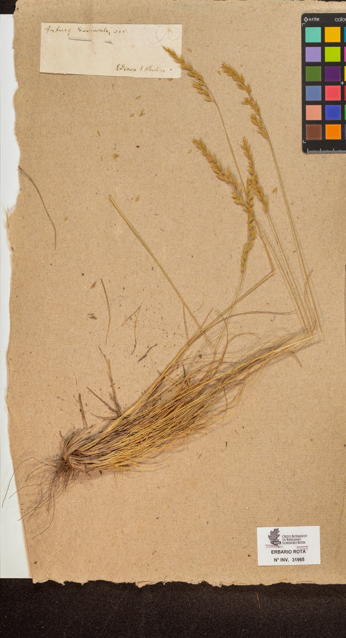 SW_BNB_s3090-10006_IMG-0000000001