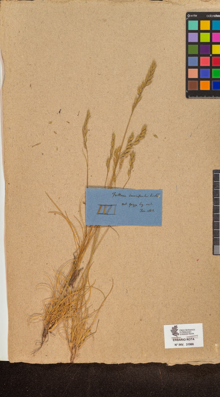 SW_BNB_s3090-10007_IMG-0000000001