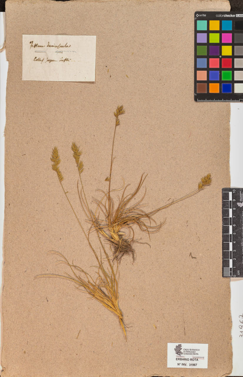 SW_BNB_s3090-10008_IMG-0000000001