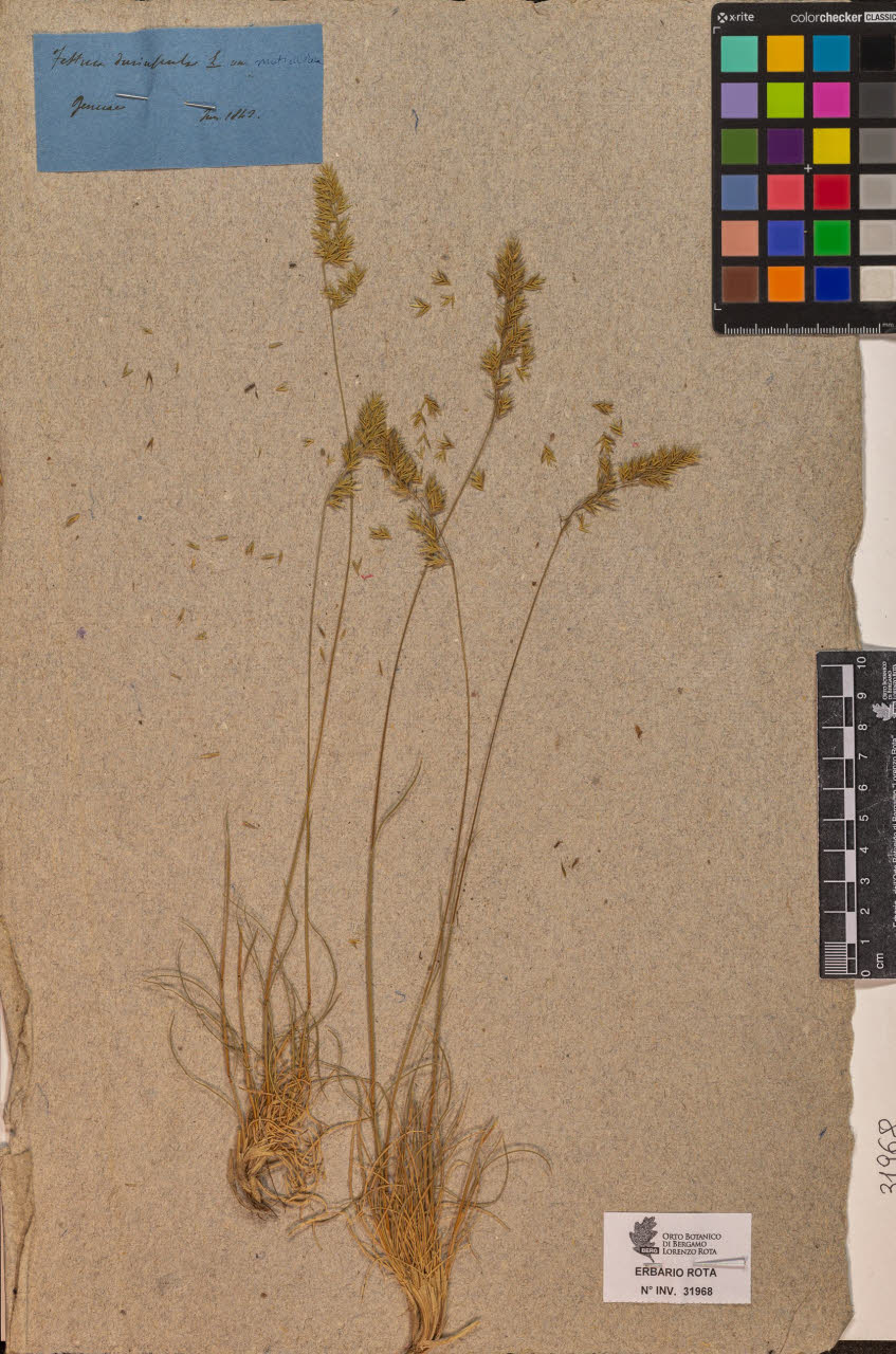 SW_BNB_s3090-10009_IMG-0000000001