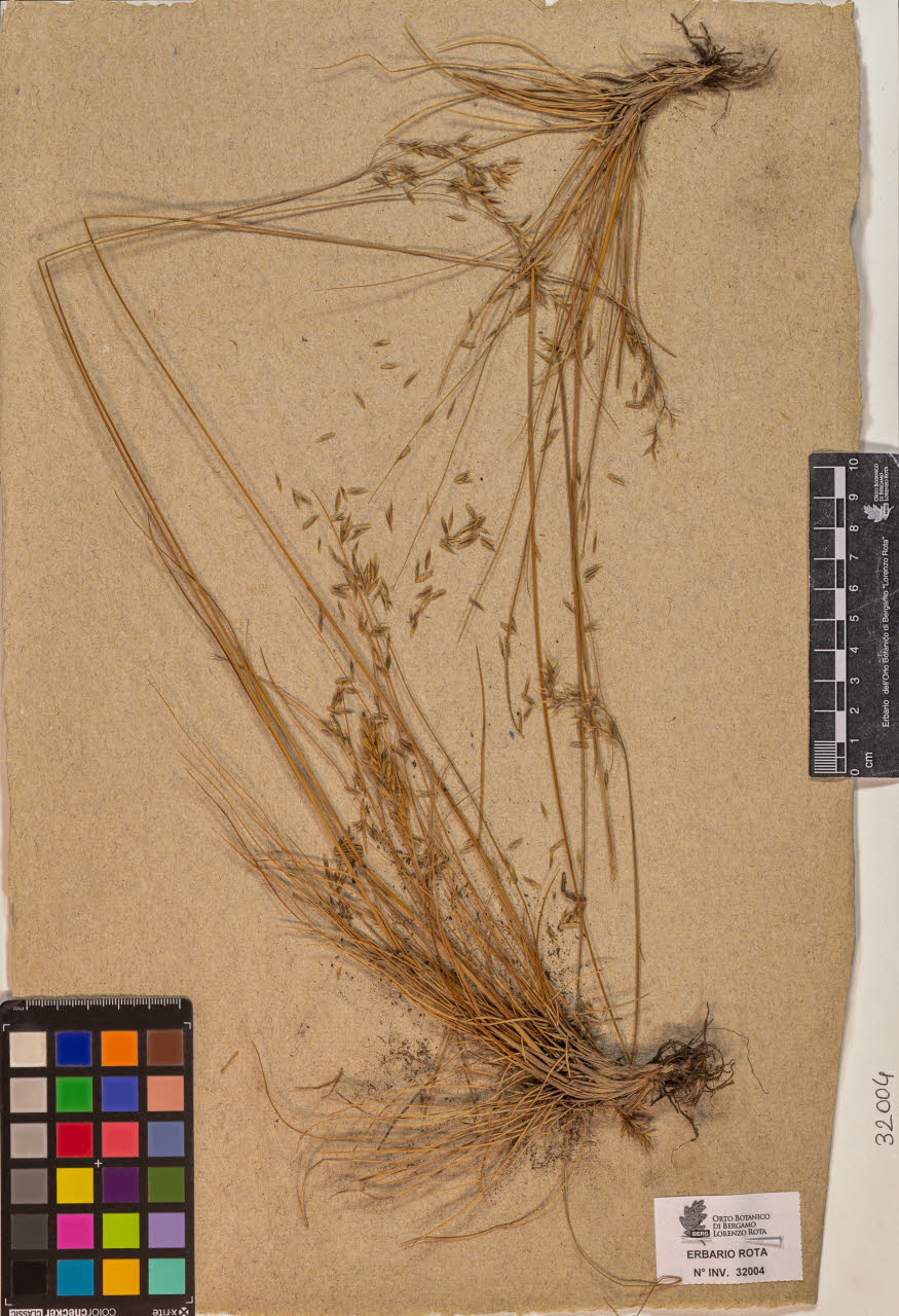 SW_BNB_s3090-10045_IMG-0000000001