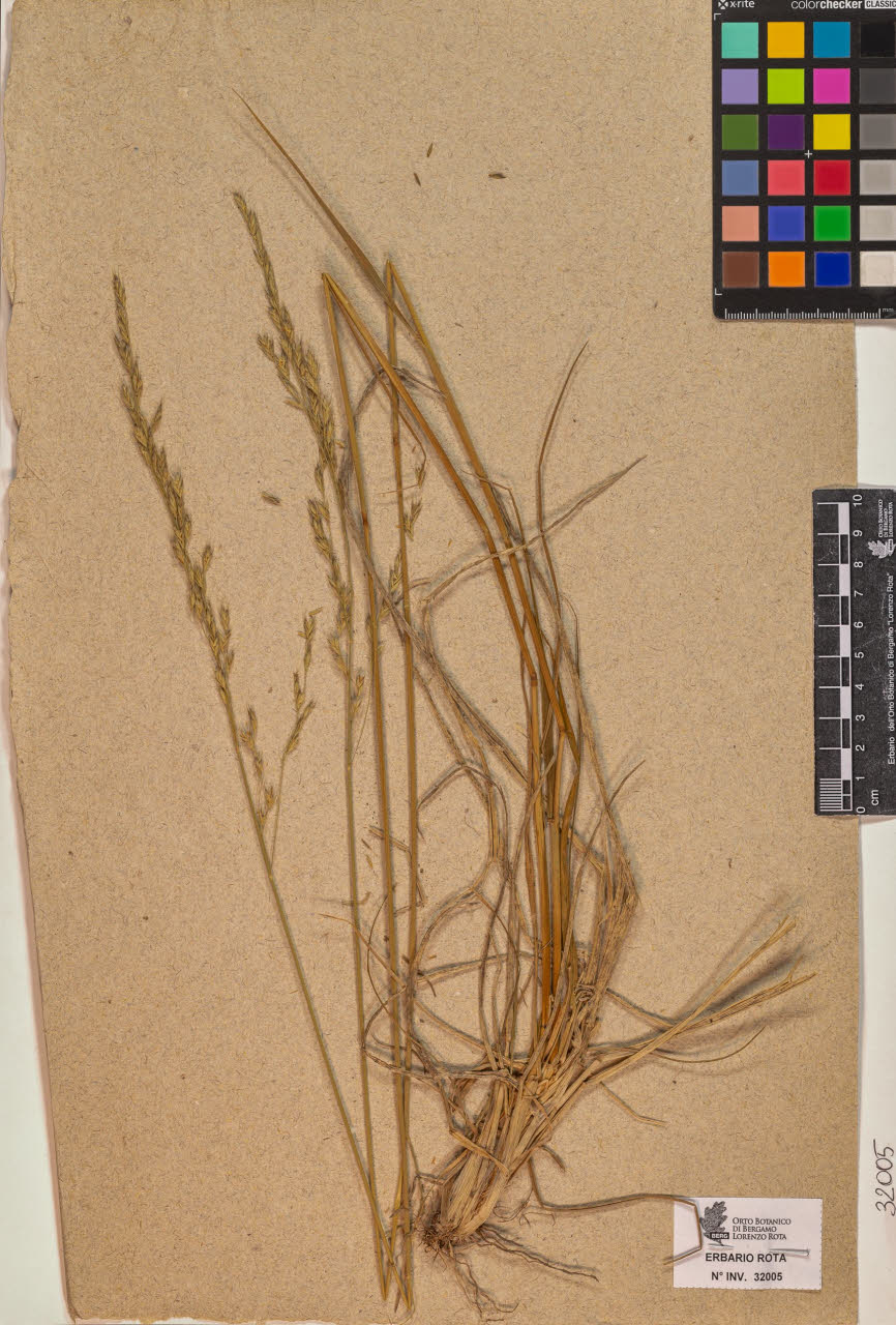 SW_BNB_s3090-10046_IMG-0000000001