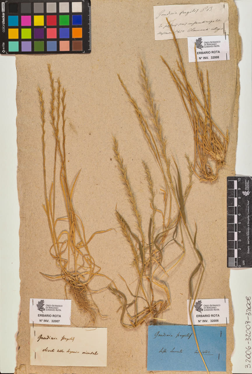 SW_BNB_s3090-10047_IMG-0000000001