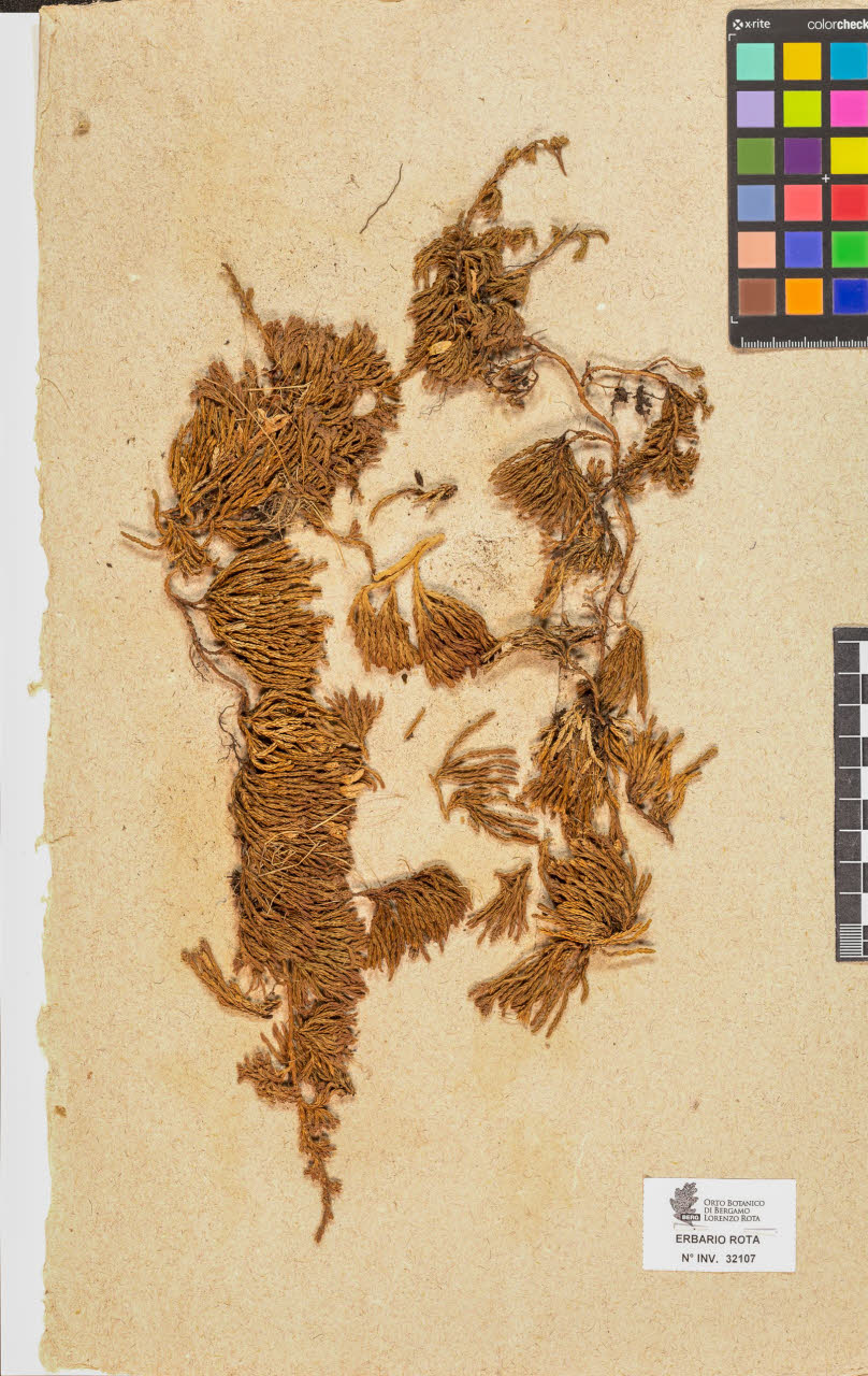 SW_BNB_s3090-10147_IMG-0000000001