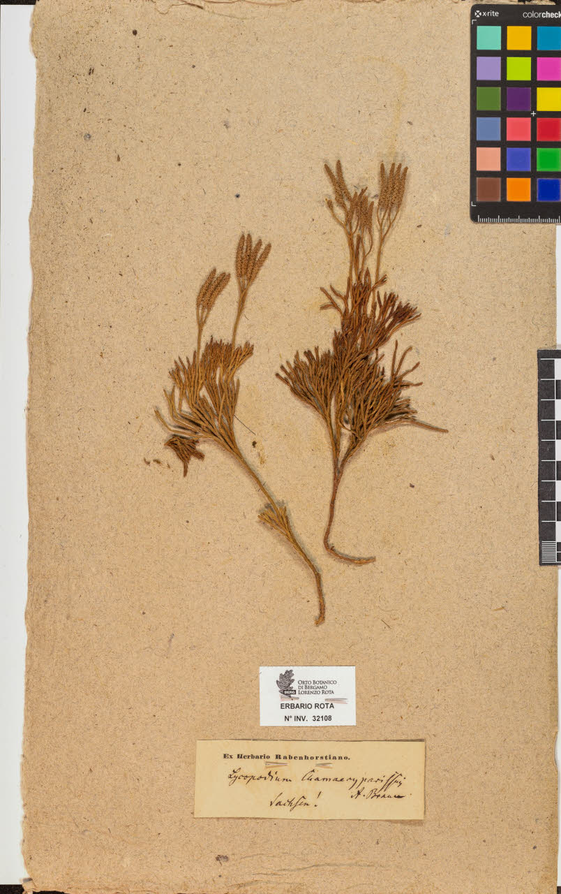 SW_BNB_s3090-10148_IMG-0000000001