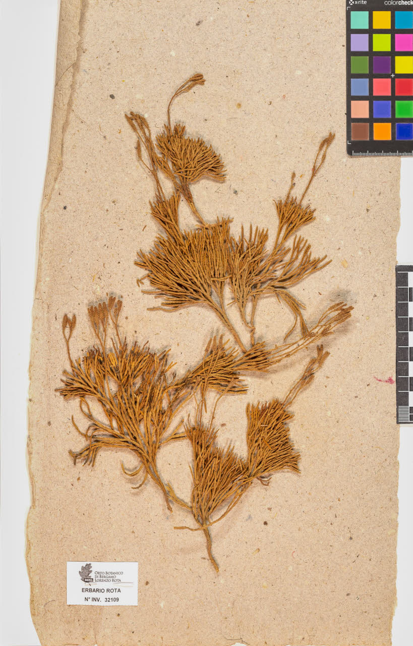 SW_BNB_s3090-10149_IMG-0000000001