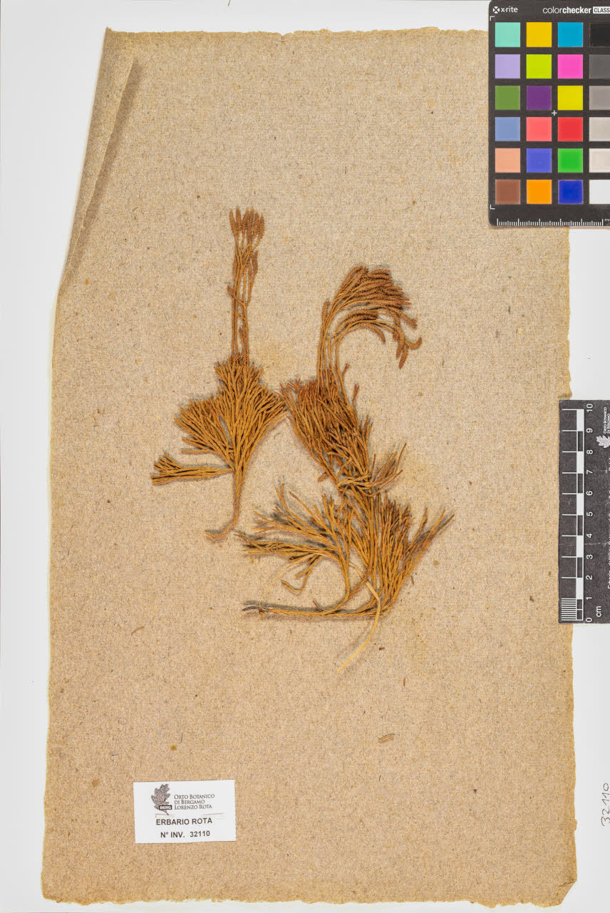 SW_BNB_s3090-10150_IMG-0000000001