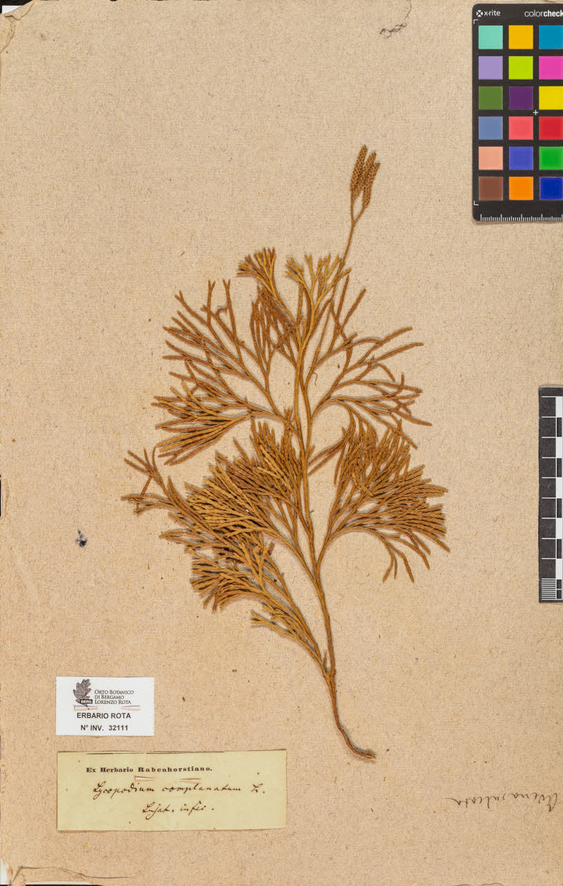 SW_BNB_s3090-10151_IMG-0000000001