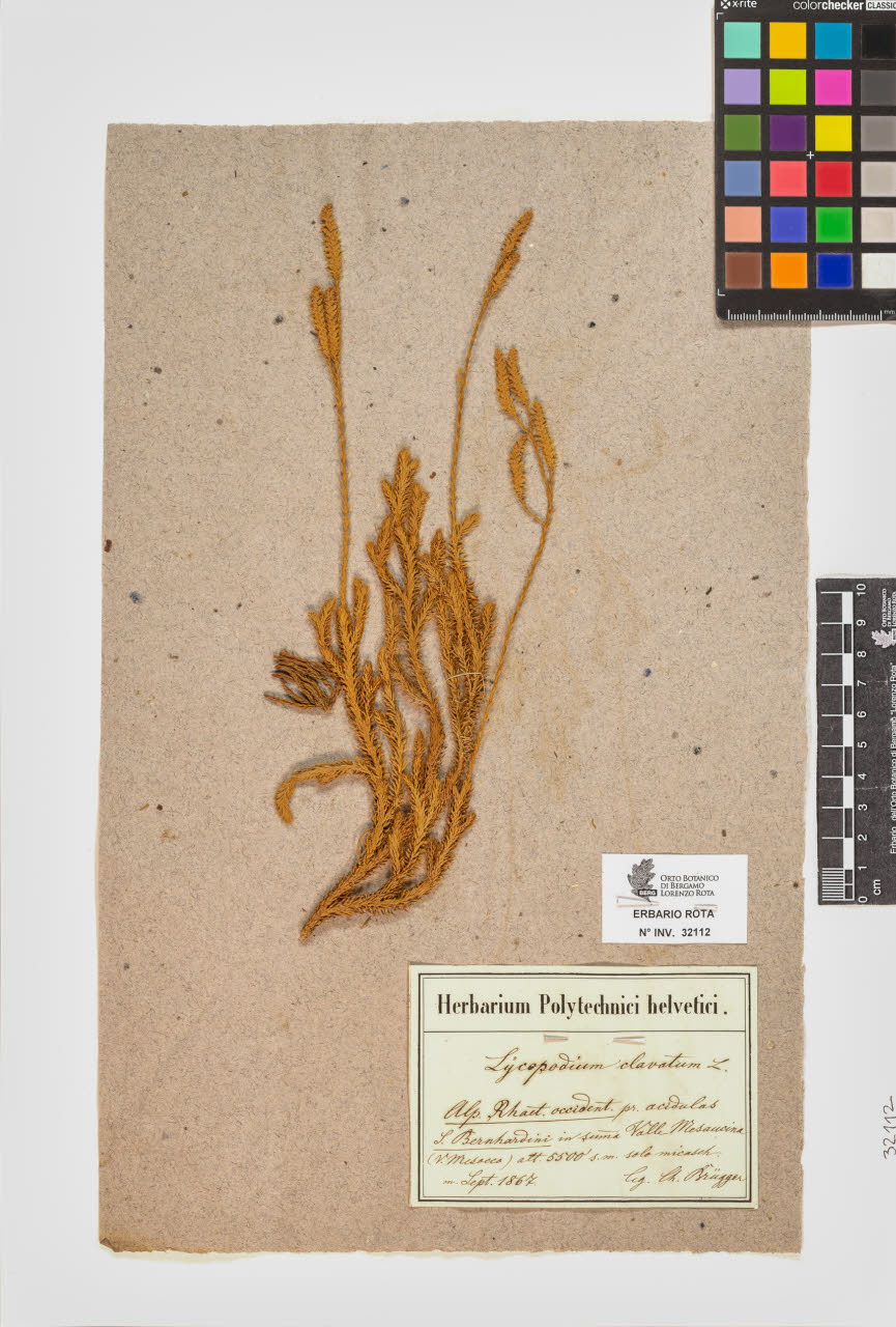 SW_BNB_s3090-10152_IMG-0000000001