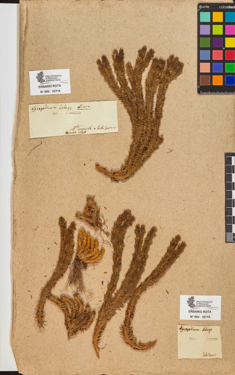 SW_BNB_s3090-10154_IMG-0000000001