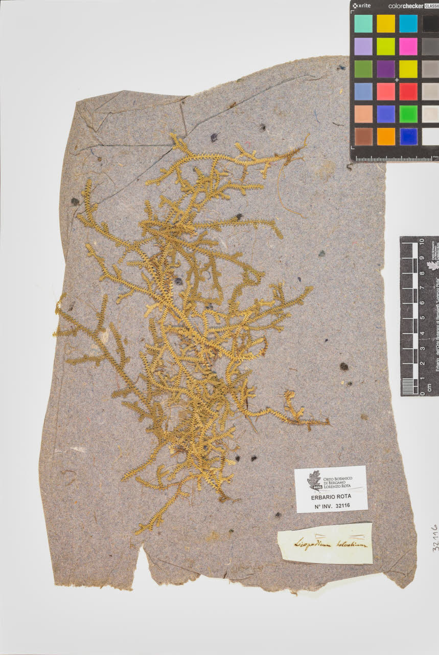 SW_BNB_s3090-10156_IMG-0000000001