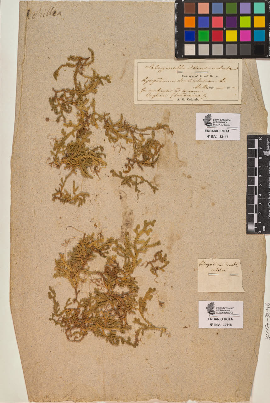 SW_BNB_s3090-10157_IMG-0000000001