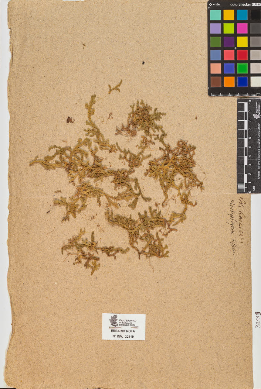 SW_BNB_s3090-10159_IMG-0000000001