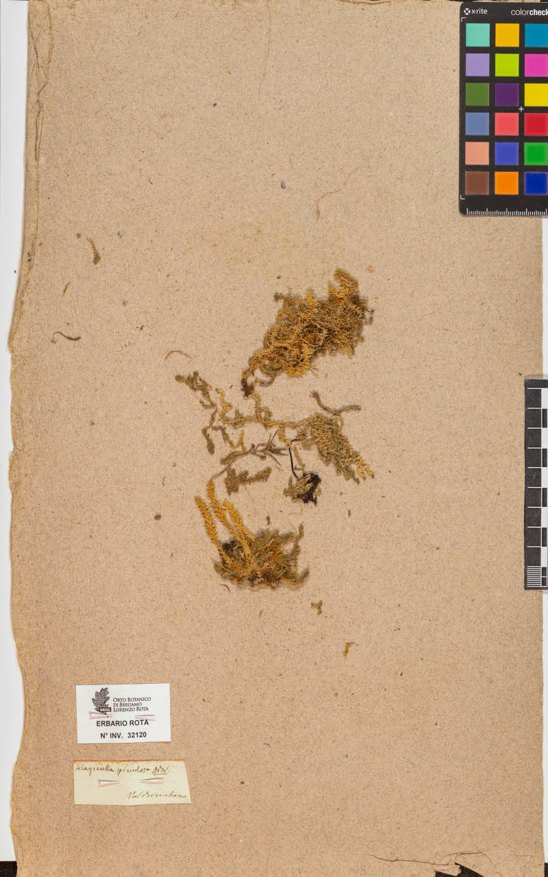 SW_BNB_s3090-10160_IMG-0000000001