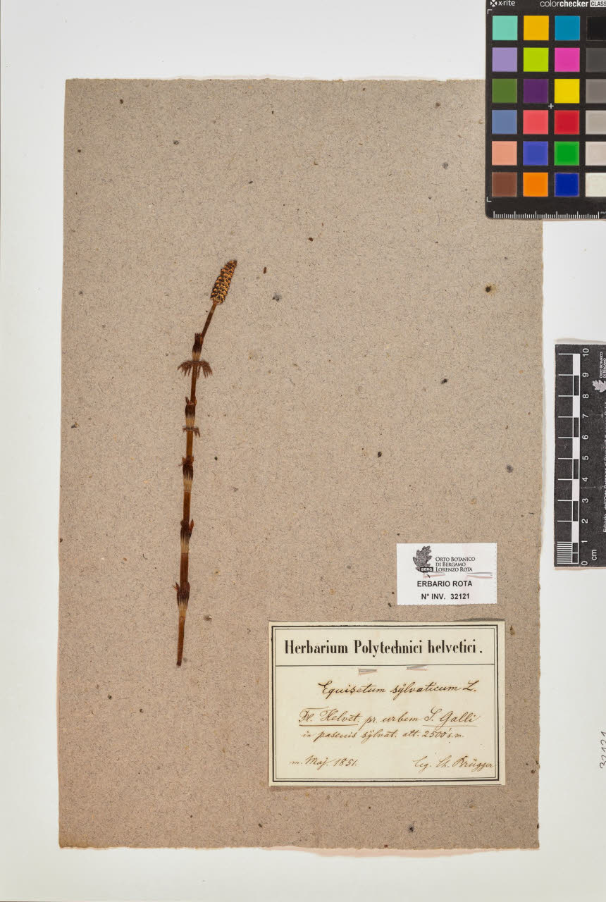 SW_BNB_s3090-10161_IMG-0000000001