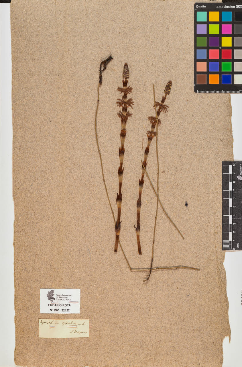 SW_BNB_s3090-10162_IMG-0000000001