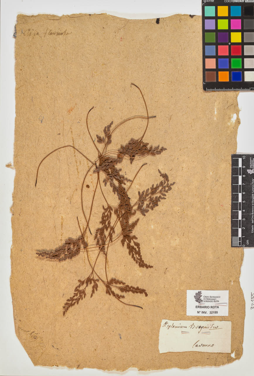 SW_BNB_s3090-10196_IMG-0000000001