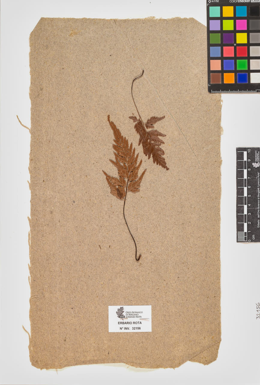 SW_BNB_s3090-10197_IMG-0000000001