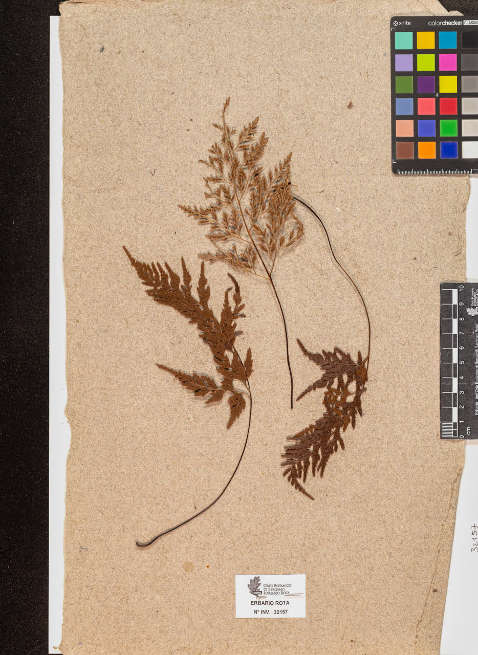 SW_BNB_s3090-10198_IMG-0000000001