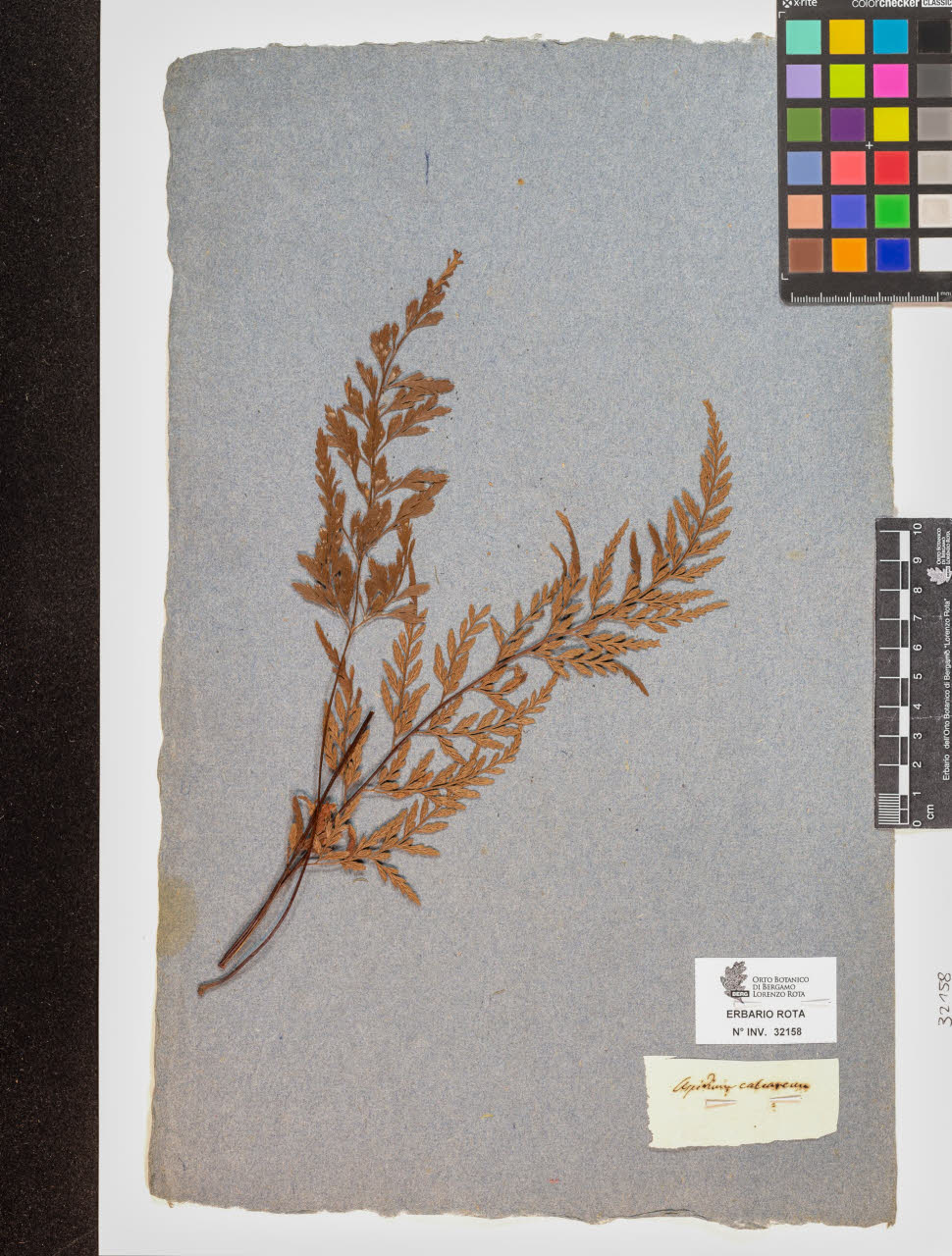 SW_BNB_s3090-10199_IMG-0000000001