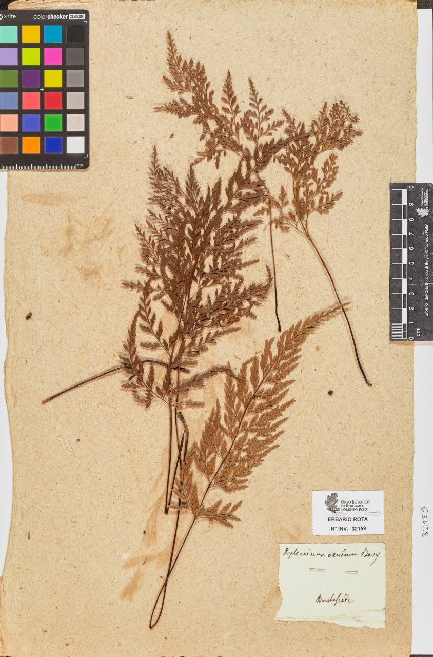 SW_BNB_s3090-10200_IMG-0000000001