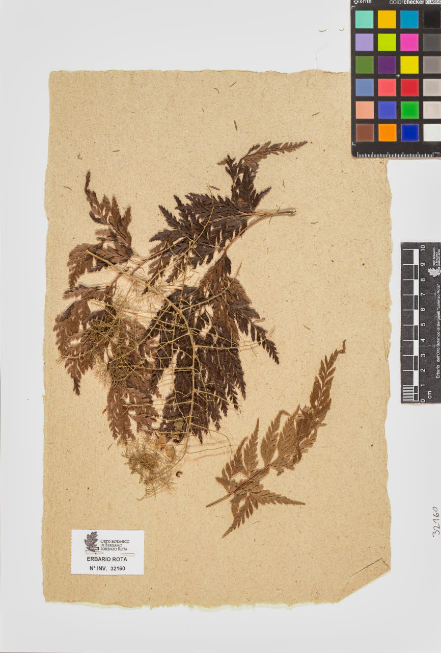 SW_BNB_s3090-10201_IMG-0000000001