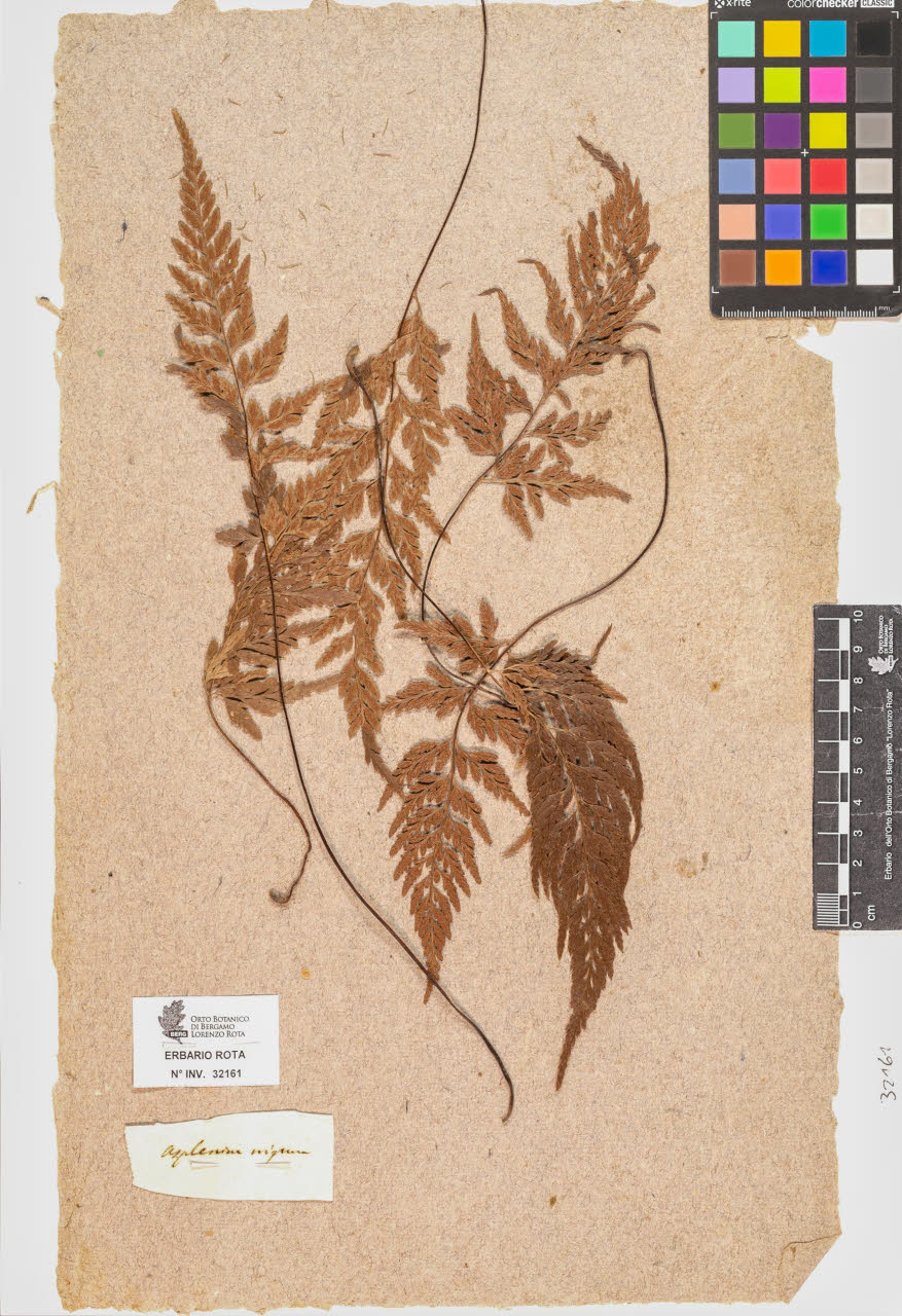 SW_BNB_s3090-10202_IMG-0000000001