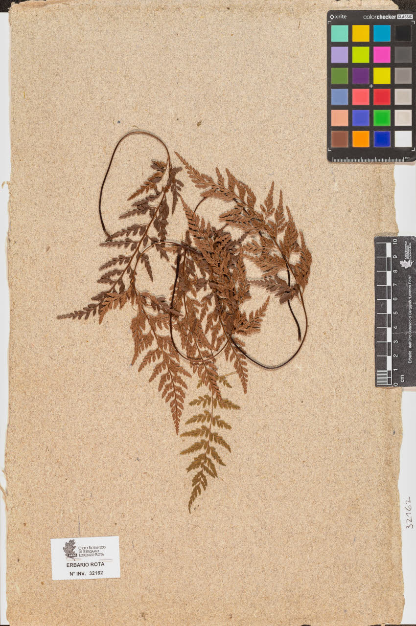 SW_BNB_s3090-10203_IMG-0000000001