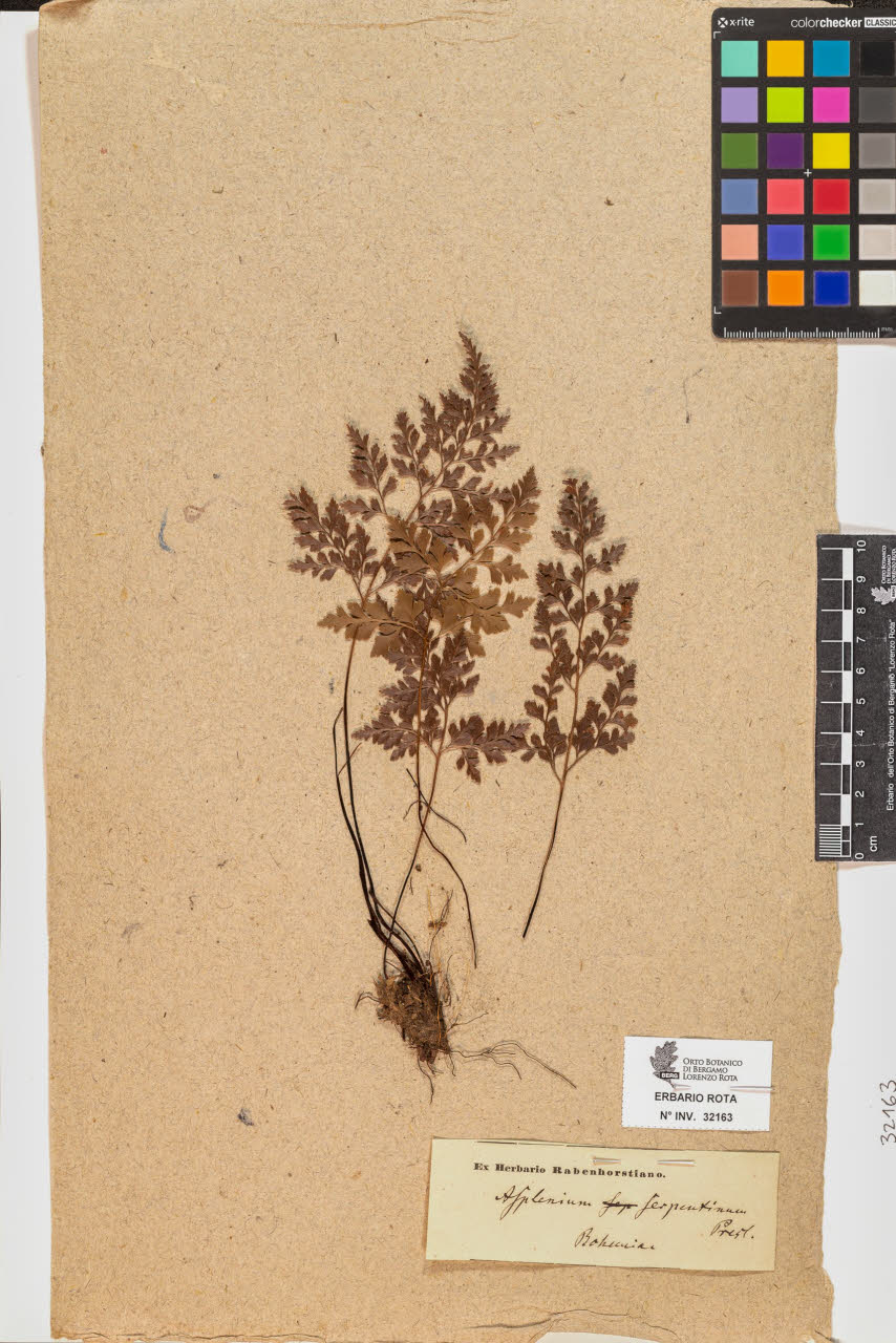 SW_BNB_s3090-10204_IMG-0000000001