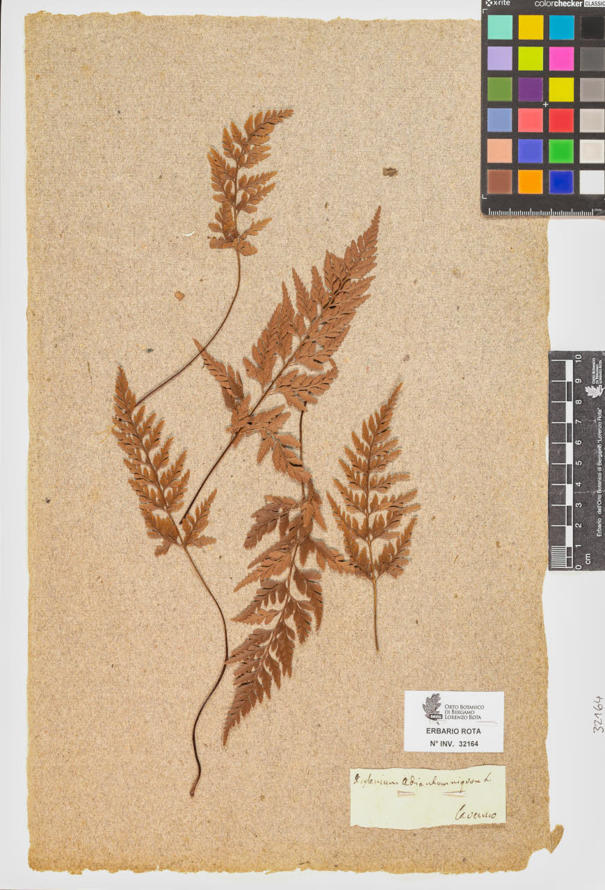 SW_BNB_s3090-10205_IMG-0000000001