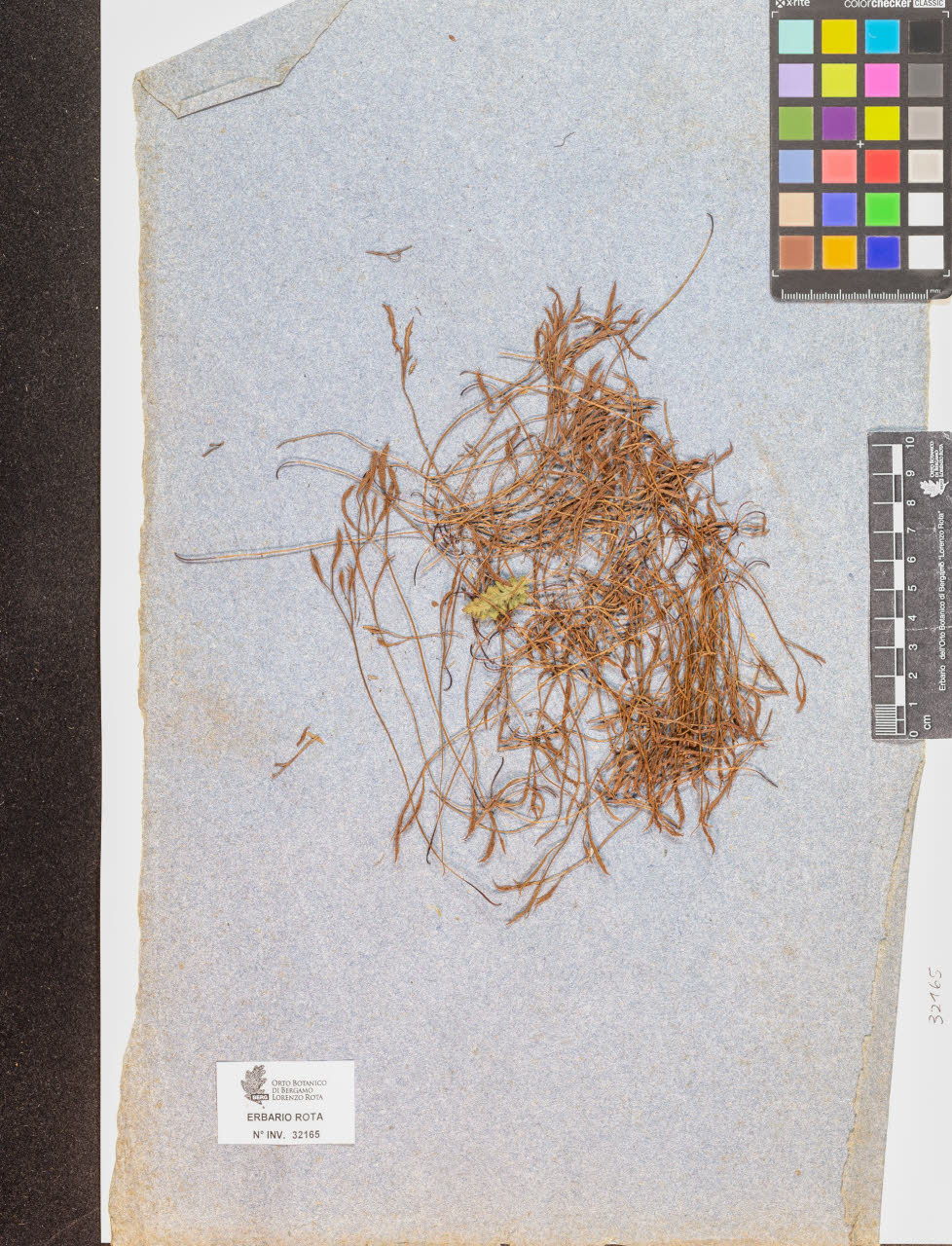 SW_BNB_s3090-10206_IMG-0000000001