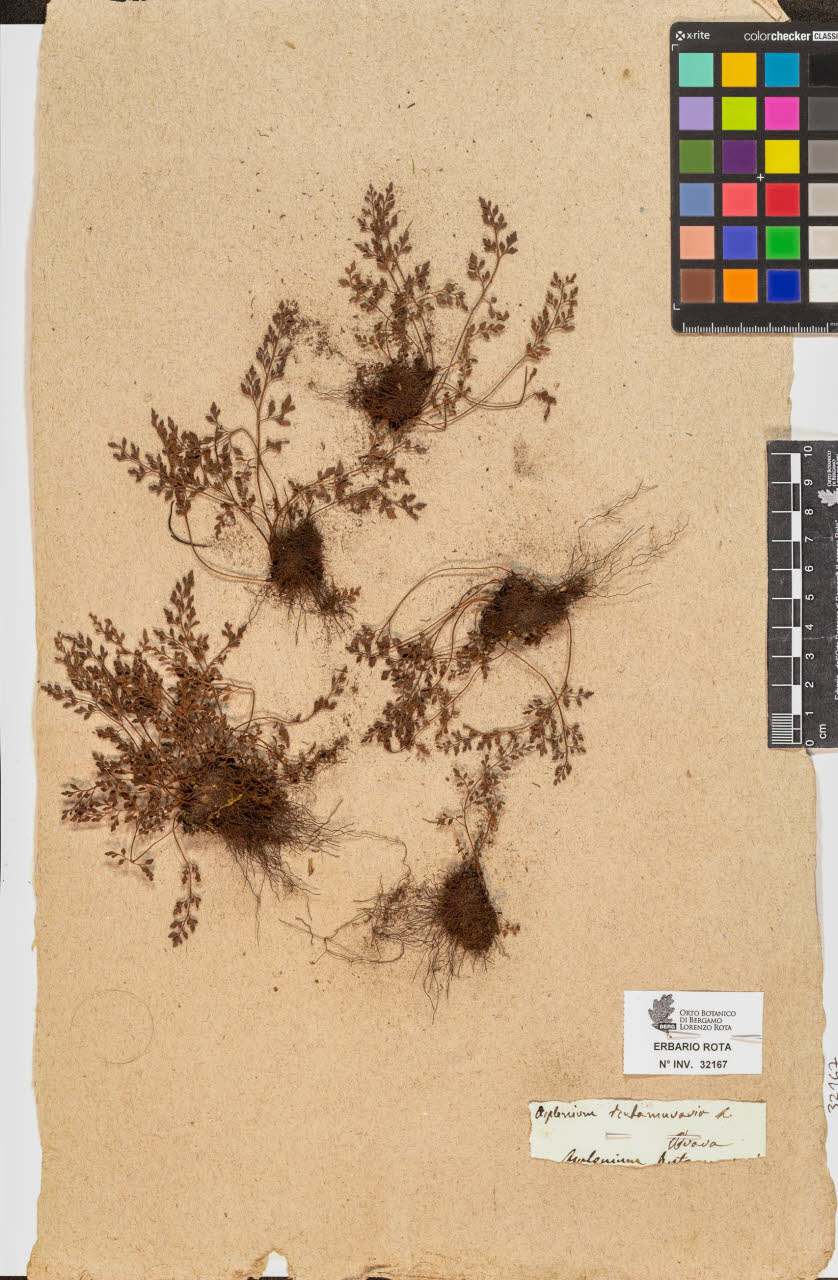 SW_BNB_s3090-10208_IMG-0000000001