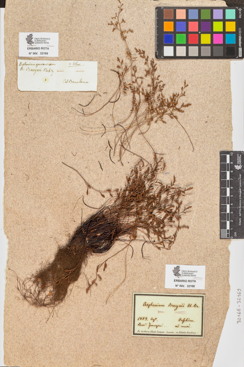 SW_BNB_s3090-10209_IMG-0000000001