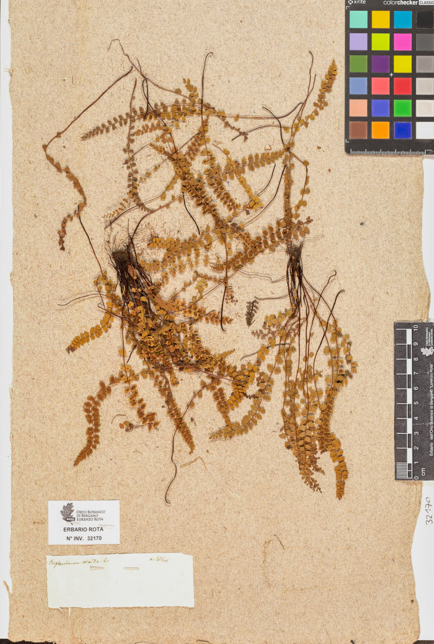 SW_BNB_s3090-10211_IMG-0000000001