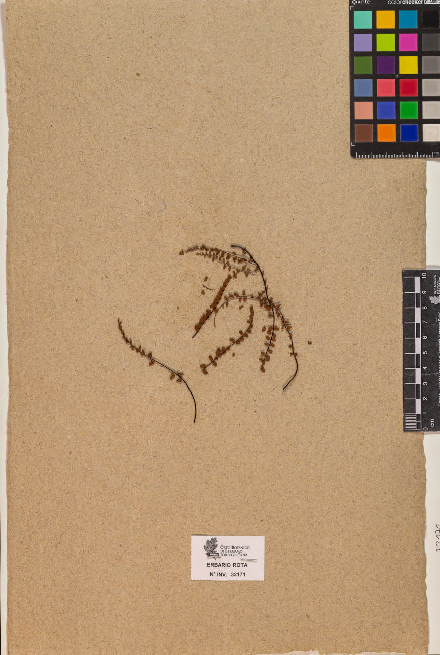 SW_BNB_s3090-10212_IMG-0000000001