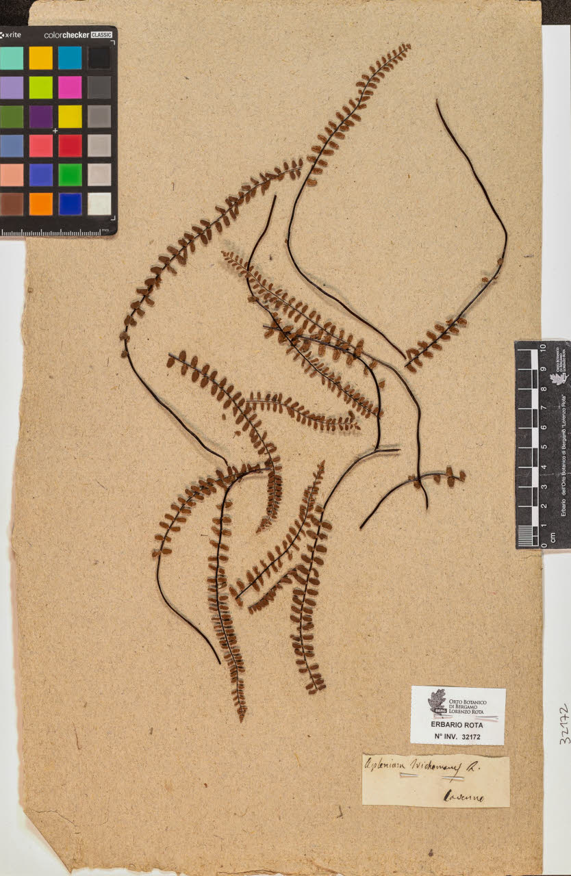 SW_BNB_s3090-10213_IMG-0000000001