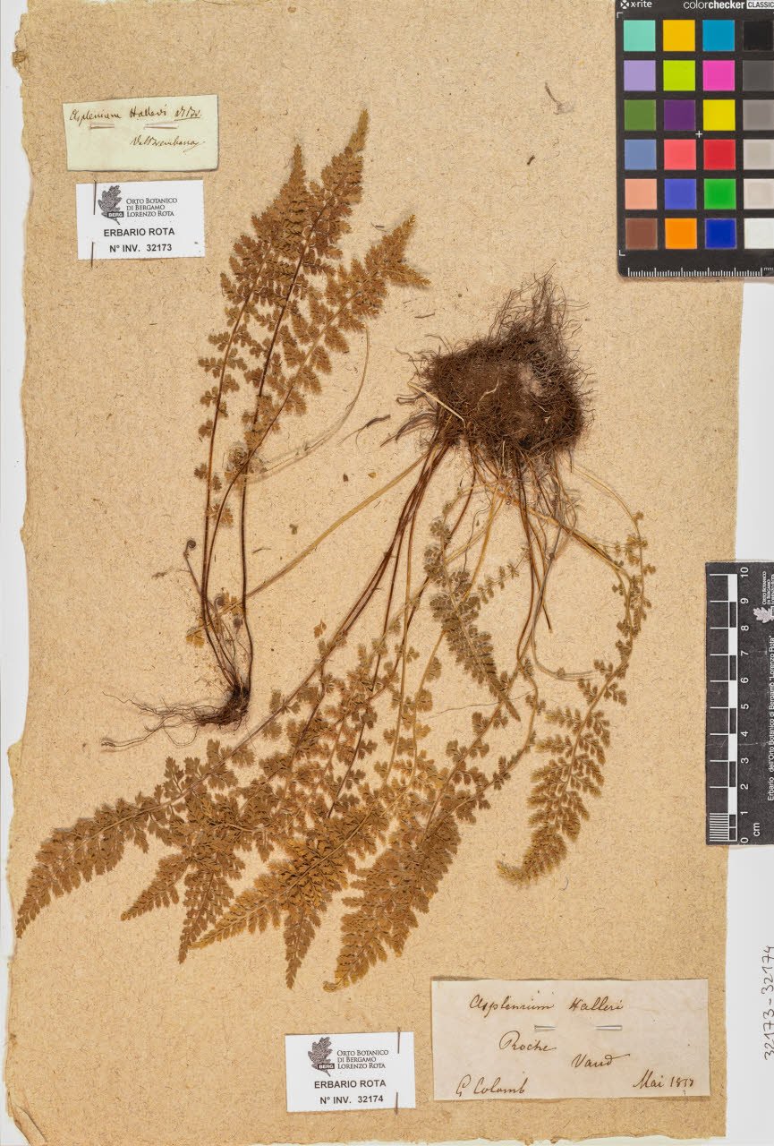 SW_BNB_s3090-10214_IMG-0000000001