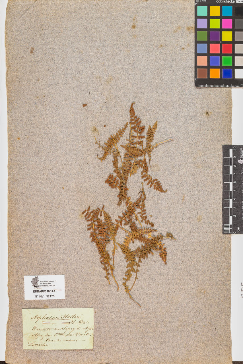 SW_BNB_s3090-10216_IMG-0000000001