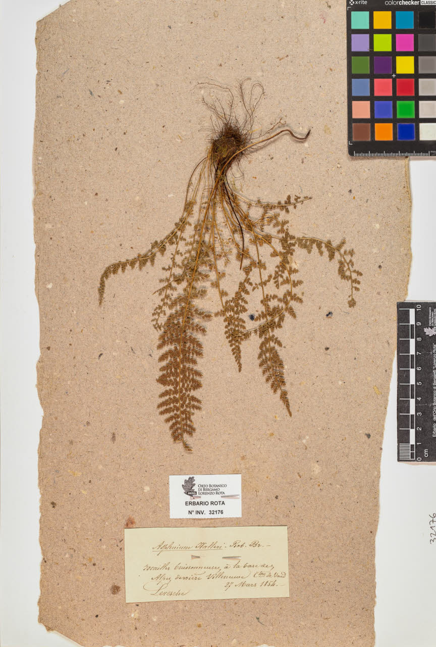 SW_BNB_s3090-10217_IMG-0000000001