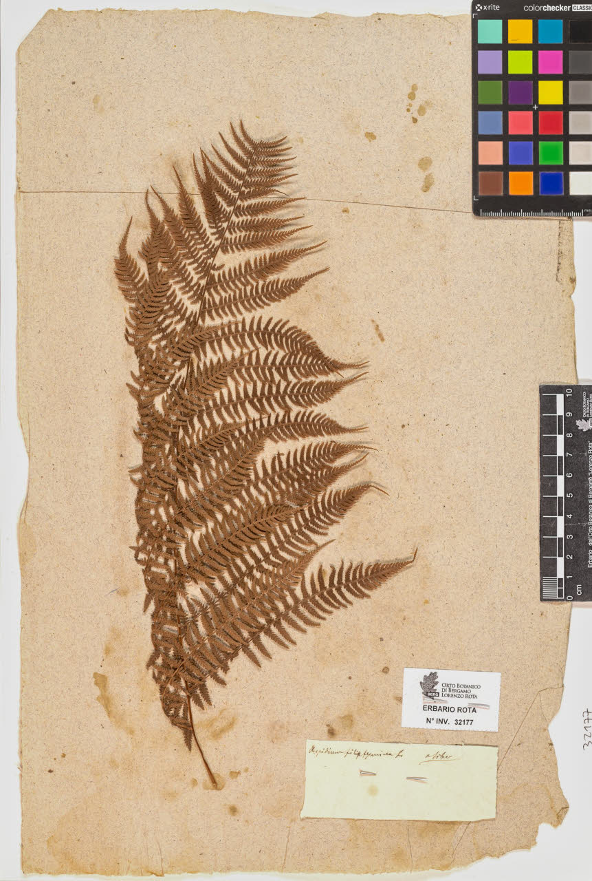 SW_BNB_s3090-10218_IMG-0000000001