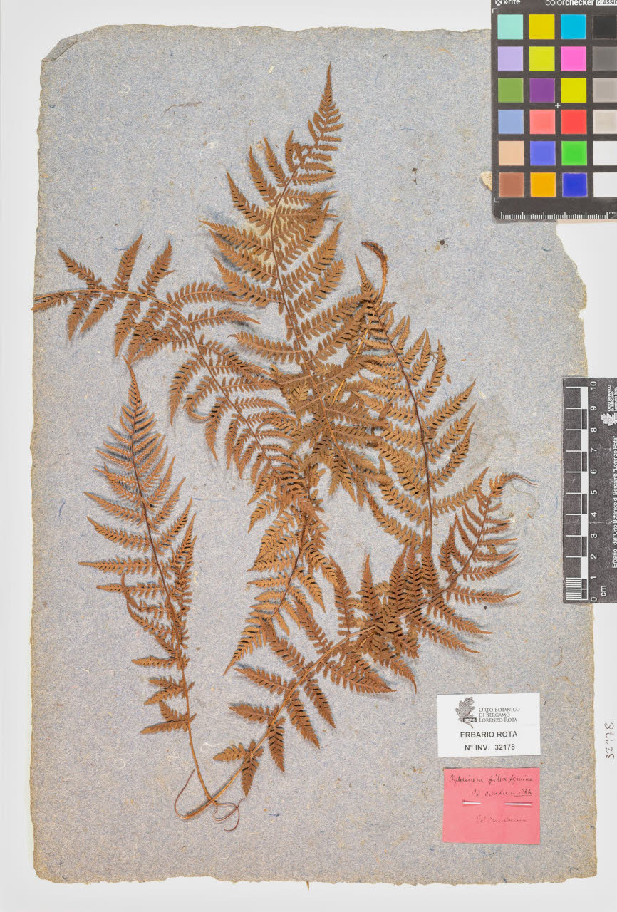 SW_BNB_s3090-10219_IMG-0000000001