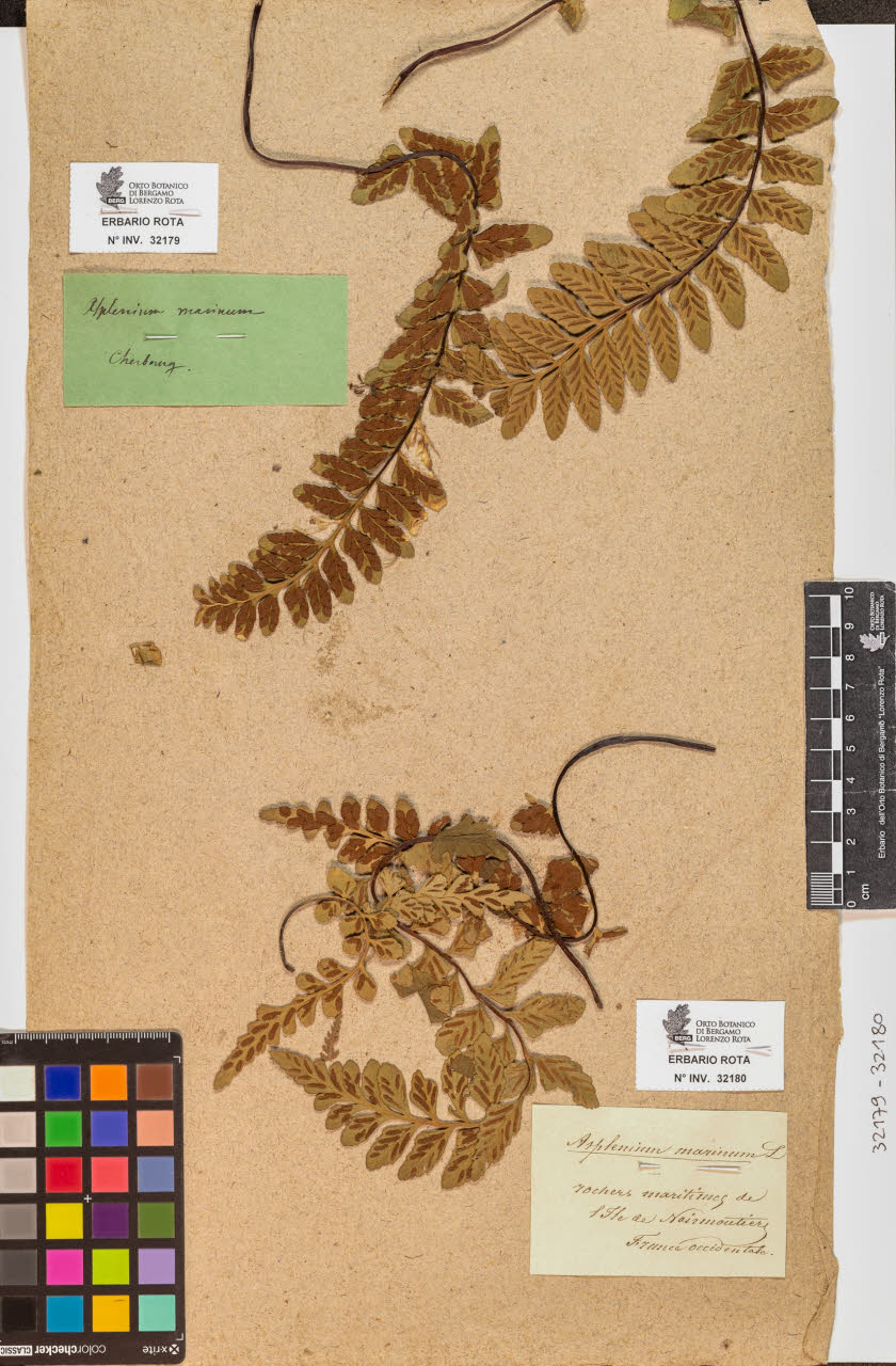 SW_BNB_s3090-10221_IMG-0000000001