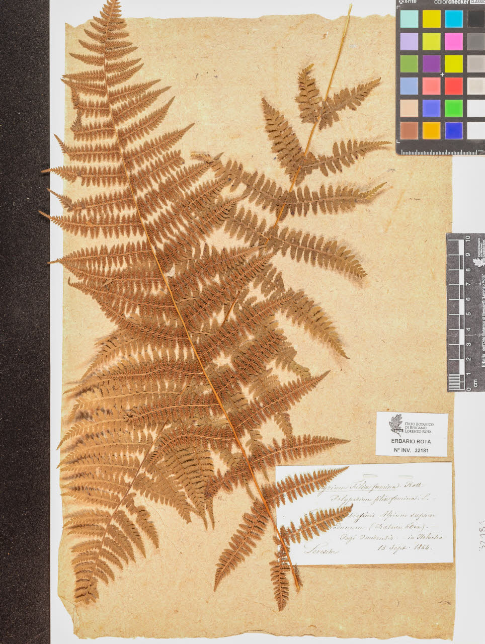 SW_BNB_s3090-10222_IMG-0000000001