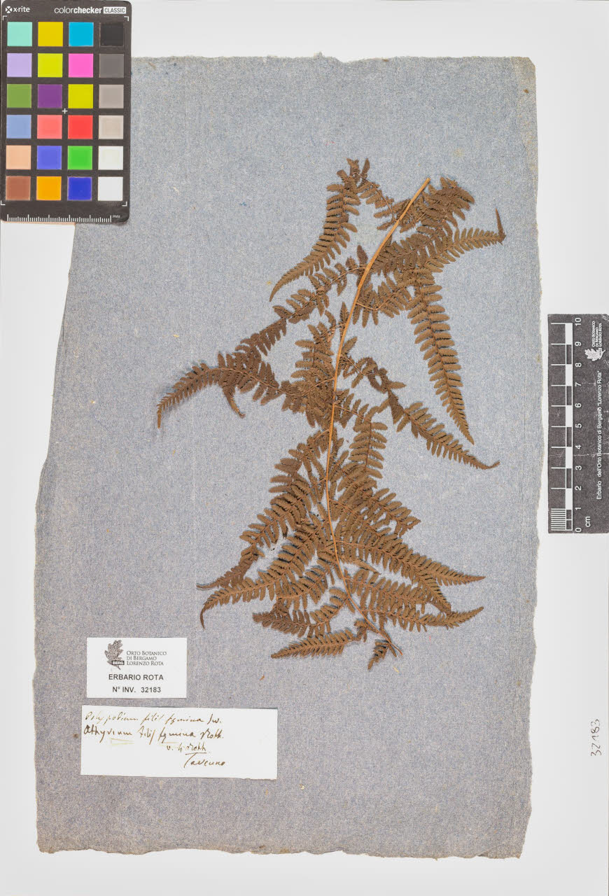 SW_BNB_s3090-10224_IMG-0000000001