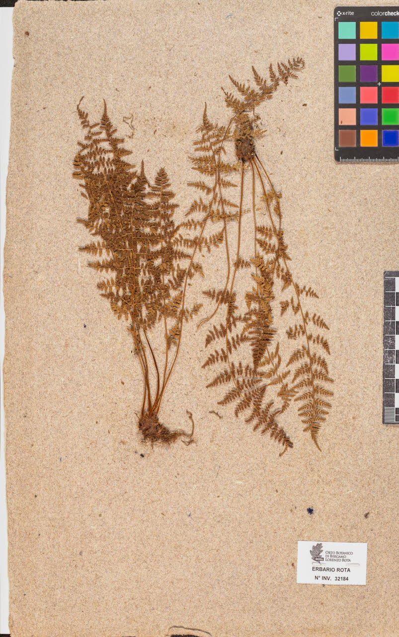 SW_BNB_s3090-10225_IMG-0000000001