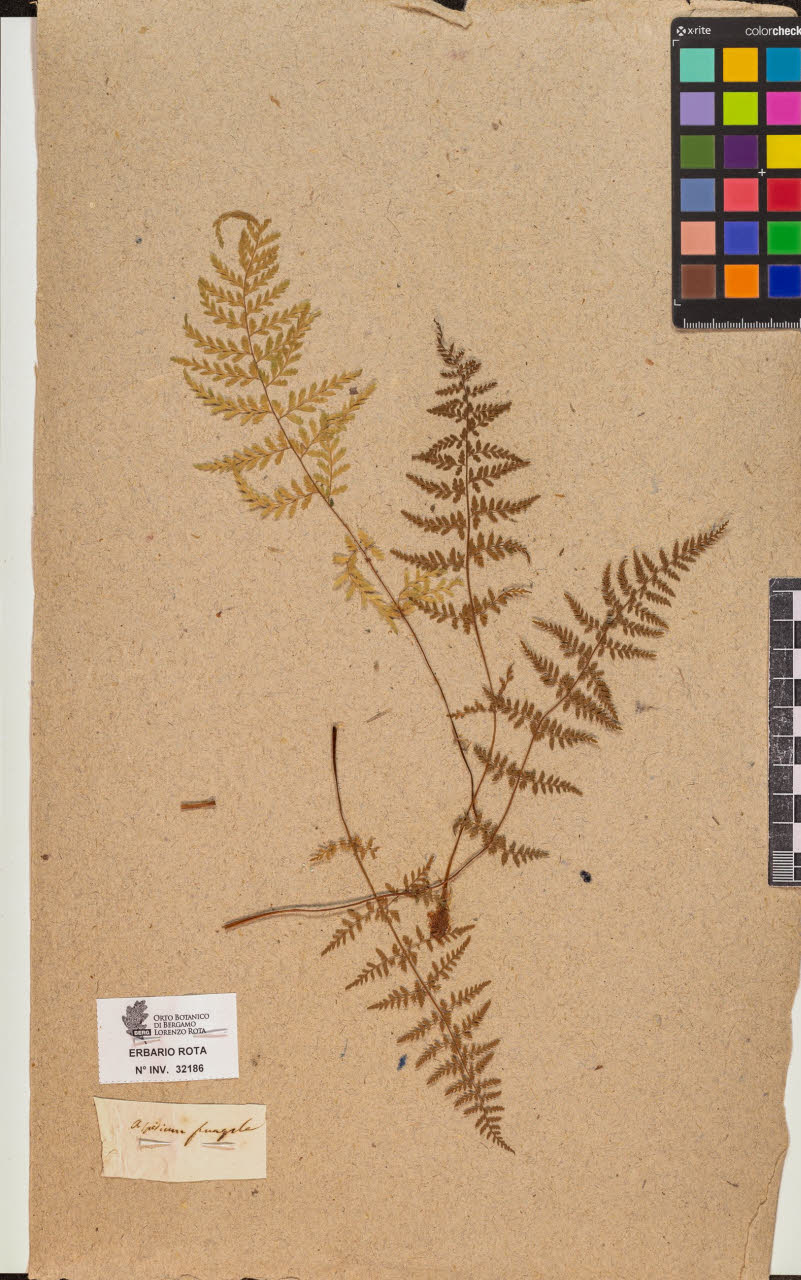 SW_BNB_s3090-10227_IMG-0000000001