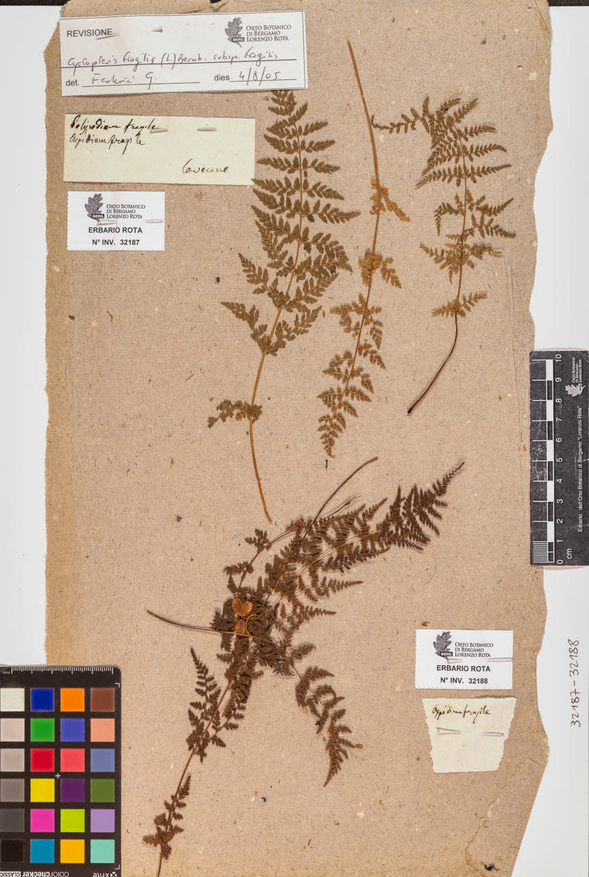 SW_BNB_s3090-10228_IMG-0000000001