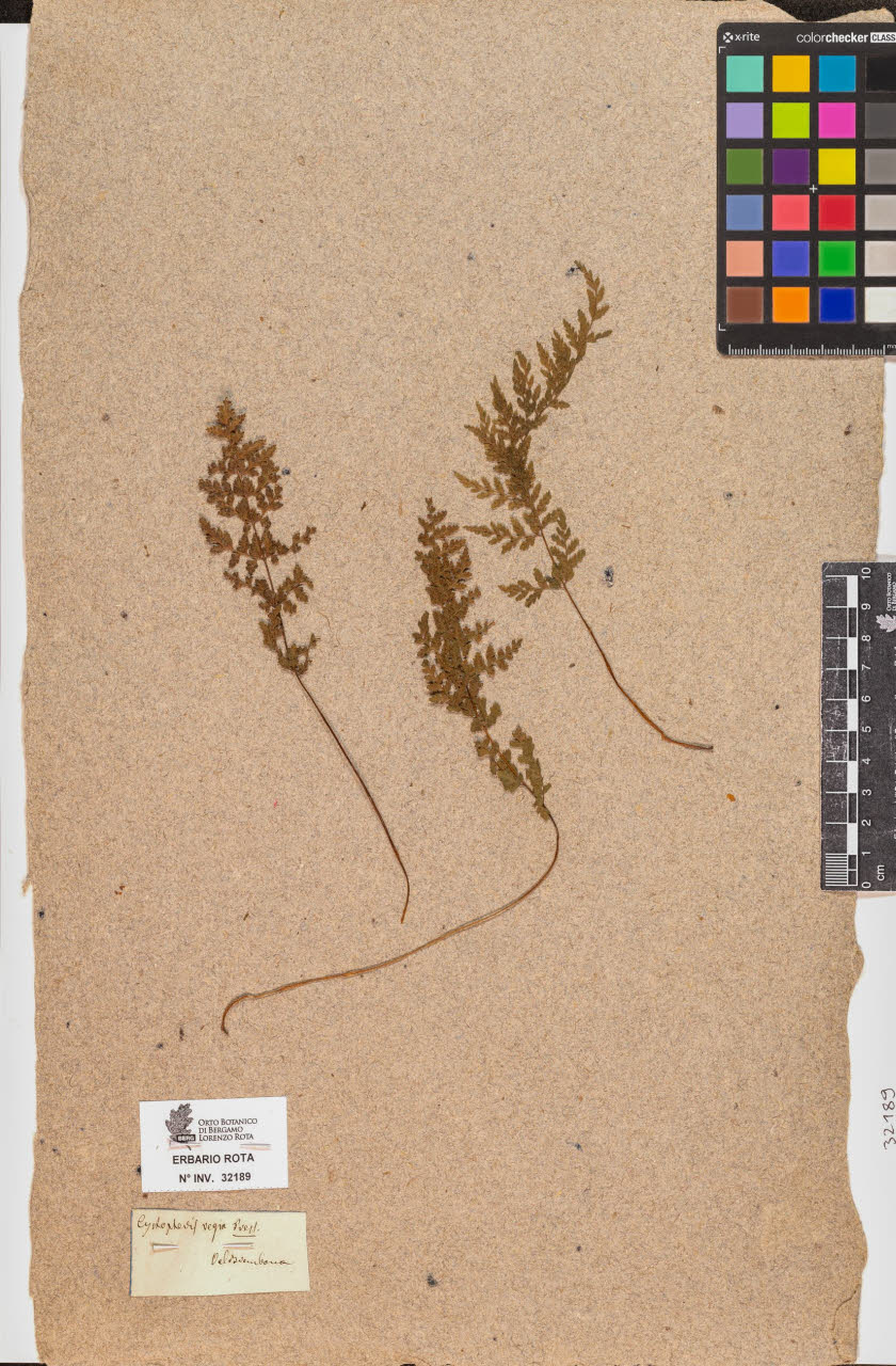 SW_BNB_s3090-10230_IMG-0000000001