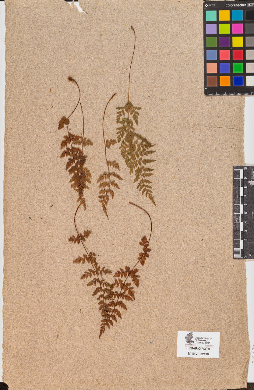 SW_BNB_s3090-10231_IMG-0000000001