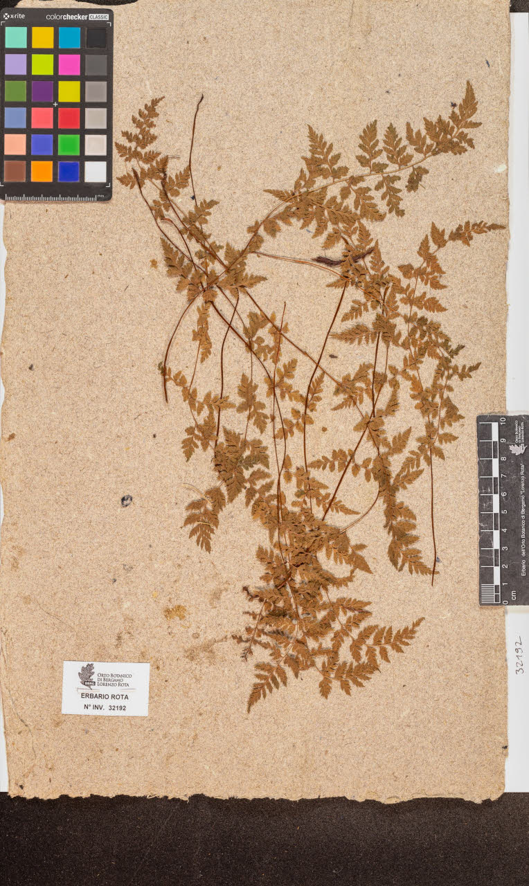 SW_BNB_s3090-10233_IMG-0000000001